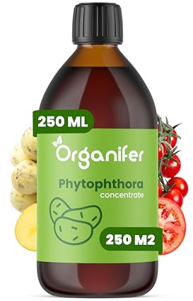 Concentré Phytophthora - 250ml = 250m2 | Produit Pour Pommes De Terre Et Tomates - Entretien Des Plantes - Engrais Végétal - Organifer