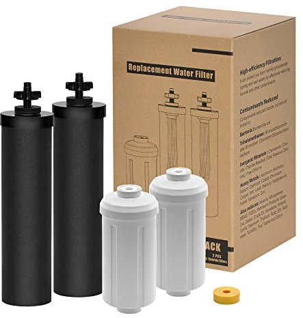 Montemono Repalcement de filtre noir et fluorure pour système de filtre à eau Big Berkey