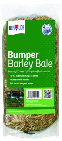 Bermuda Barley Straw Natural Algae control Bumper Bale