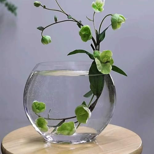 Vaso in vetro piatto trasparente, vaso in vetro piatto trasparente, vaso per piante grasse, vaso per fiori in vetro, vaso per piante da interno, decorazione per ufficio, arredamento per la casa