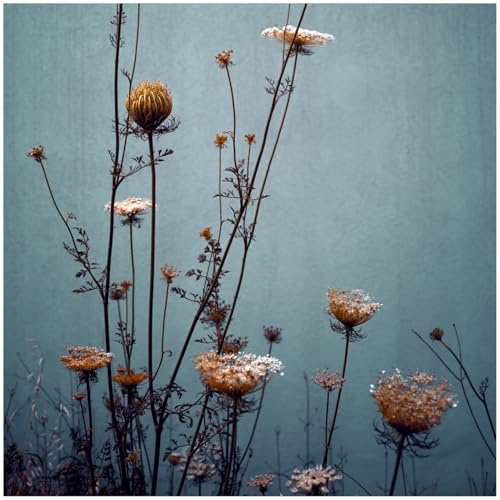 Wallario Memoboard aus Glas mit Motiv, Magnet-Tafel in 50 x 50 cm in Premium Qualität Filigrane Wildblumen