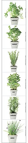 Décoration adhésive pour CARRELAGE Plantes Aromatiques, Polyvinyle, Vert, 15 x 15 x 0.1 cm
