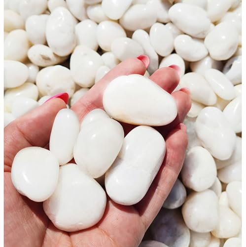 Dekosteine schwarz rot weiß poliert 2 kg, Kieselsteine Garten 2-4 cm, Zierkies für Vasen, Flusssteine, Ziersteine, Flusssteine Pflanzen, Deko-Kies, Steine-Garten, Kies, Flusskiesel, Deko (Weiß)