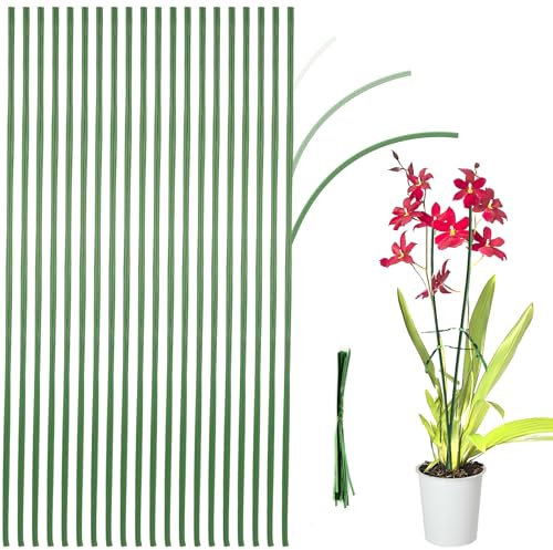 20 Stück Pflanzstäbe 40cm, Flexibler Pflanzenstäbe, Pflanzenstab mit 20 Pflanzenbindern, Rankstäbe Pflanzenstütze Stakes, Grün Ochideen Stäbe für Garten Kletterpflanze Erweiterung