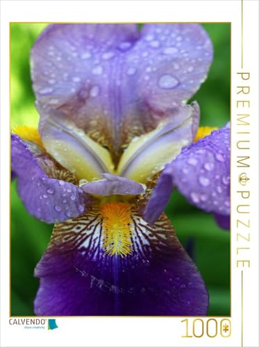 CALVENDO Puzzle Traumhafte Iris Blüte | 1000 Teile Lege-Größe 48 x 64 cm Foto-Puzzle für glückliche Stunden