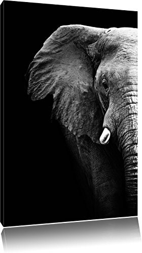Pixxprint Elefant Porträt, Größe: 120x80cm, Leinwandbild, fertig gespannt, Wandbild, Dekoration, Kunstdruck, kein Poster