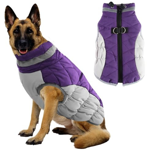 Voarge Hundemantel Winter,Hundejacke mit Geschirr,Warme Hundeweste mit Reflektierend, Kaltes Wetter Winter Warme Jacke für Kleine Mittlere Große Hunde (Lila, M)