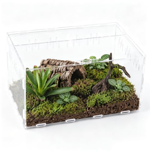 hocadon Schneckenterrarium Acryl Terrarium 30x20x15cm mit LuftlöCher | Terrarium mit Voller Sicht Optisch Ansprechend, das leicht und robust, druck und langlebig ist.