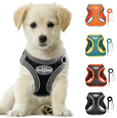 LOS ANDES Hundegeschirr mit Leine, Reflektierend Weich Gepolstert Katzengeschirr, Air-Mesh für kleine, mittelgroße und extra kleine Hunde und Katzen, Schwarz, Gestreift