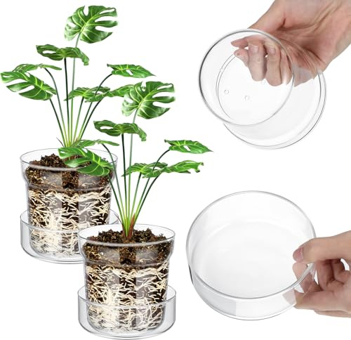 Baderke 4 Inch Glass Plant Pots with Saucer, Flower Nursery Plant Pots with Drainage for Flower Seed Starter Transparent Seedling (2 Sets)