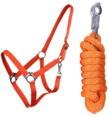 ARBO-INOX Halfter-Set Beginner II Halfter + Führstrick mit Panikhaken verstellbar (Cob Vollblut, Orange)
