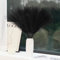 VIDSTW 30 Stück 55 cm Pampasgras Künstlich Trockenblumen Pampasgras de Deko Wohnzimmer Deko Getrocknete Blüten Flauschig Faux Boho für Zuhause Hochzeit (Schwarz)