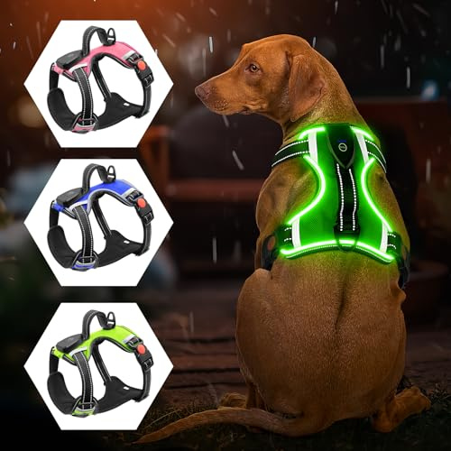 Leuchtendes Hundegeschirr – kein Ziehen, LED-Hundegeschirr, wiederaufladbar, beleuchtetes Hundegeschirr für kleine, mittelgroße und große Hunde (Grün, M)