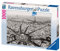 Ravensburger 15736 - Großstadt Paris - 1000 Teile Puzzle
