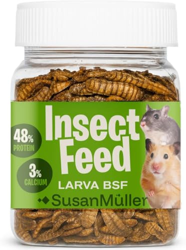 Larvas de Mosca Soldado Negra para Roedores – Snack Natural de Insectos, complemento alimenticio Rico en proteína y Calcio para hámsters, Ratas y pequeños mamíferos
