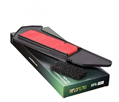 Compatibile Con/Sostituzione Per 300 x-Max - 17/18 - Filtro Aria HFA4301
