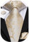 Hi-Tie Herren Krawatte Schwarz Paisley/Plaid/Streifen/Einfarbig Krawatten Set Einstecktuch Manschettenknöpfe Business Formal Hochzeit Meeting Geschenkbox,Champagner Blume