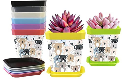 Lot de 8 pots de fleurs en plastique de 7,6 cm, petits pots légers pour semences avec plateaux, conteneurs d'intérieur pour plantes succulentes - Adorable koala