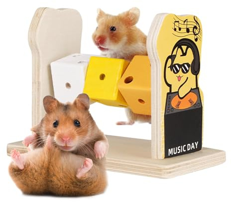 Nankoyal Hamsterspielzeug - Hamsterkäfig Zubehör - Hamster Interaktives Anreicherung Spielzeug Pädagogisches Hamster Zubehör für Käfig
