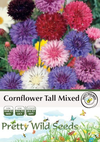 Cornflower Tall Mixed Seeds in Pictorial Packet - 5g