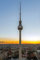 1art1 Berlin Poster Der Fernsehturm Bei Sonnenaufgang Plakat | Bild 91x61 cm
