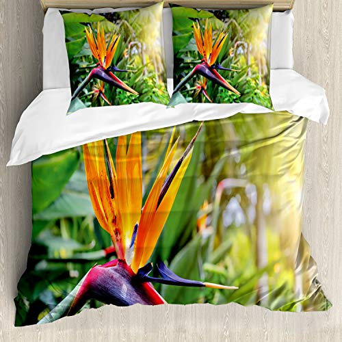 ABAKUHAUS Pflanze Bettwäsche Set für Doppelbetten, Paradiesvogel Blume, Weicher Microfaserstoff Allegigeignet kein Verblassen, Grün Orange