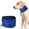 Albert Austin Pets Dog Cooling Bandana Gel Filled Portable Quick Cooling Dogs Summer Essential Prevent Overheating Easy to Use Dog Cooling Collar Stress Relief Cooling Bandana for Dogs (Small)
