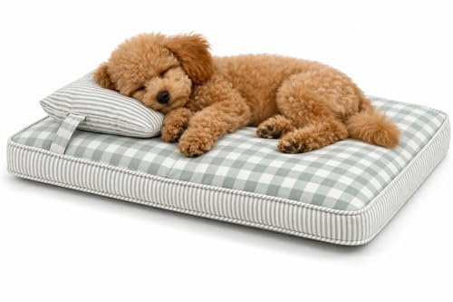 MOMONELO Cama Ortopédica para Perros Pequeños 65x45 cm – Colchón con Espuma Alta Densidad, Funda Lavable con Cremallera Oculta, Base Antideslizante – Ideal para Perros hasta 7 kg y Gatos
