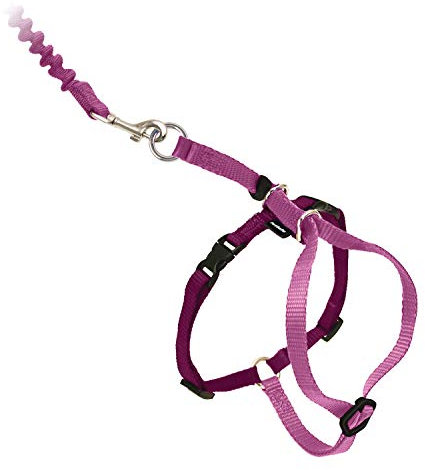 PetSafe Come with Me Kitty Geschirr und Bungee-Leine, Geschirr für Katzen, klein, Dusty Rose/Burgunderrot