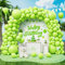 Palloncini Verde Chiaro, 143Pezzi Dimensioni Diverse Verdi Frutta Opachi Arco Palloncini Kit per Ragazze Donne Festa di Compleanno Matrimonio Natale Baby Shower Battesimo Comunione Safari Anniversario