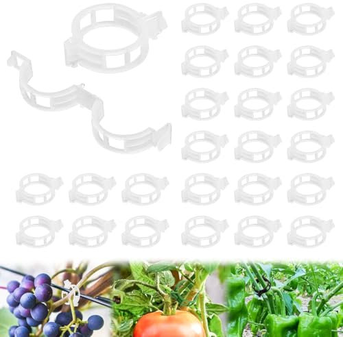 100 Stück Pflanzenclips Kunststoff Pflanzenklammern für Kletterpflanzen, 2025 Wiederverwendbare Pflanzenklammern für Tomaten, Trauben, Reben, Gurken, Gartenklammern Innen Außeneinsatz (100, Weiße)