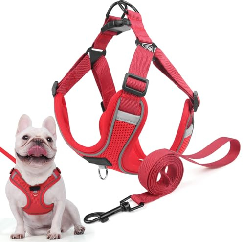 Hundegeschirr für Kleine Mittelgroße Hunde, Anti Zug Reflektierend Welpengeschirr mit Leine, Verstellbar Air Mesh Atmungsaktiv Brustgeschirr für Hunde Gassigehen, Training und Reisen (Rot, L)