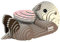 EUGY 650060 Seeotter, 3D Tier-Puzzle für Kinder und Erwachsene zum Zusammenbauen, DIY Tierfigur, Bastelset ab 6 Jahren