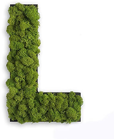 styleGREEN Piktogramm: Buchstabe L Islandmoos