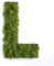 styleGREEN Piktogramm: Buchstabe L Islandmoos