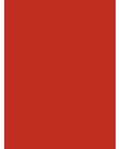 Clairefontaine 384506C - Pacco da 25 fogli di Carta Poster dipinto 90g/m² - Formato 60x80cm - decoupage, Scrittura, Collage - hobby creativo Adulti e Bambini - Colore rosso