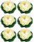 Fdit 6 PCS künstlicher schwimmender Schaum Lotusblume wasserdicht kleine Lotusblume Seerose für Hausgarten Teich Hochzeitsdekor