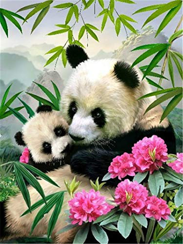YEESAM ART DIY Ölgemälde Malen nach Zahlen Erwachsene Kinder, Panda Bambus Zahlenmalerei ab 5 Öl Wandkunst (Panda, mit Rahmen)