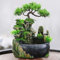 LED Zimmerspringbrunnen Garten Brunnen Steingarten Wasserfall Pflanze Zimmerbrunnen Desktop Ornament