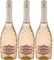Pizzolato Rosé Spumante Extra Dry M-USE Schaumwein Italien Ink FeinWert E-Book (3 x 0,75l)