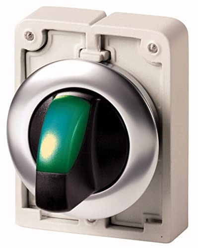 Eaton RMQ Titan Wählschalterkopf Beleuchtet Grün 2-Positionen 30mm Rastend