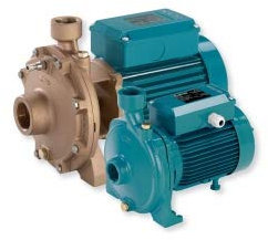 Calpeda B-NM 17/D/A Pompe centrifuge monobloc triphasée en bronze avec embouts filetés