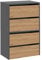 CDF Schuhschrank Modo X2 | Farbe: Anthrazit - Eiche Artisan | Ideal für Vorzimmer, Flur, Büro | Schuhaufbewahrung | Schuhregale | modern | offene Einlegenböden