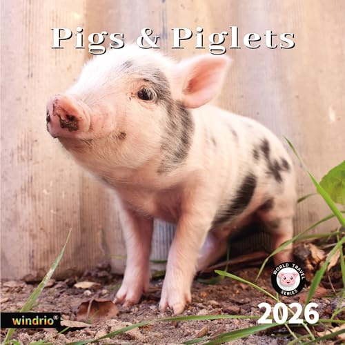 Wandkalender 2026, Kalender 2026, November 2025 – Dezember 2026, Wandkalender Schweine und Ferkel, 30,5 x 61 cm geöffnet, ganze Seite, Monate, dickes und stabiles Papier für Geschenk, perfekter