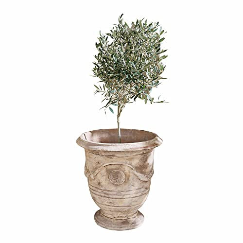 Loberon Übertopf Garwood, Nostalgisches Design, Mediterrane Note, für Innen & Außen, Antiker Charakter, Blumentopf, Pflanzgefäß, Gartenzubehör, Ton, antikbeige