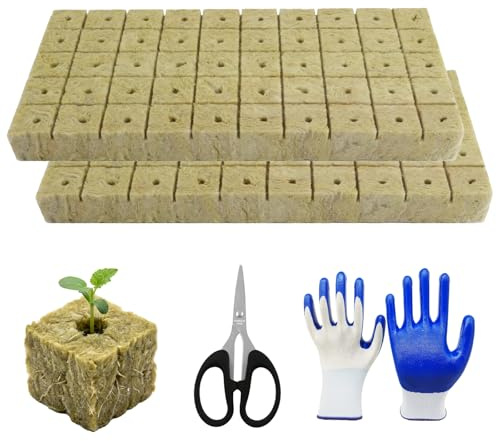 100 Stück 25mm Steinwolle Anzuchtwürfel mit Schere und Arbeitshandschuhe | 25x25x25 mm Rockwool Cube,für Hydrokultur Stecklinge Anzucht Stecklinge Bodenlose