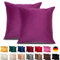 Emilie-Textil 2er Set SAMT Kissenbezug, Decorative Kissenhülle, Sofakissenbezug mit Verstecktem Reißverschluss, 14, Größen 40X40 / 45X45 / 50X50cm (2, Lila, 45X45)