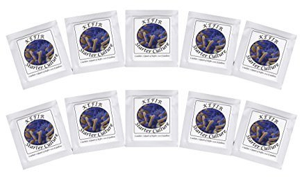 Ferment de Kéfir – Pack de 10 bolsas de cultura lyophilisée