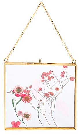 Glasrahmen für die Wand, für gepresste Blumen, Fotos, Poster, Kunstwerke, schwimmender Rahmen