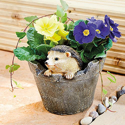 Coopers of Stortford Hedgehog Planter Dia. H15.5cm